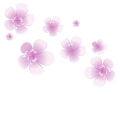 Purple Violet flowers isolated on White background. Apple-tree flowers. Cherry blossom. Vector