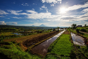 View to the Jatiluwih rice terraces at sunrise on Bali island, Indonesia