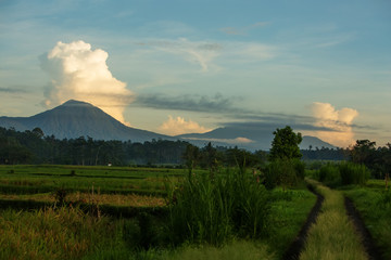 View to the rice field and volcano on Bali island, Indonesia