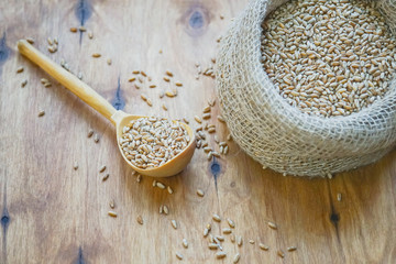 A bag of grain is on the table. There is a wooden spoon nearby