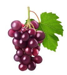 Ripe bunch red grape with leaf