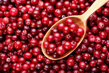 ripe cranberry background