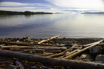 Fototapeta na wymiar Logs in Transfer Beach at sunset in Vancouver Island, BC, Canada