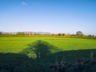 Autumn countryside morning,Northern Ireland