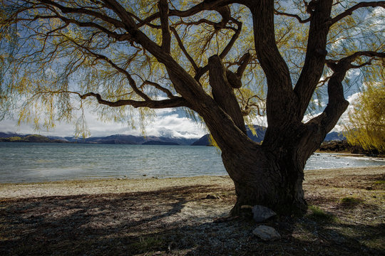 beautiful scenic of lake wanaka most popular traveling destination in southland of new zealand