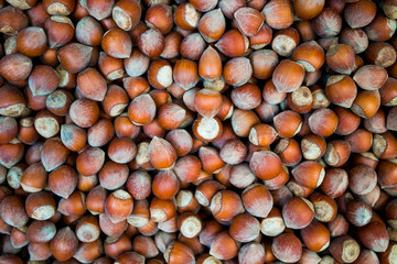 Hazelnuts. Food background. Stack of hazelnuts. Hazelnut background