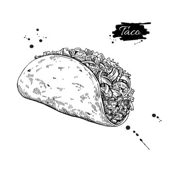 Taco drawing. Traditional mexican food vector illustration. Hand