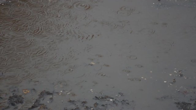 Rain drops on a muddy puddle