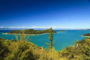 Fototapeta na wymiar Abeltasman national park New Zealand