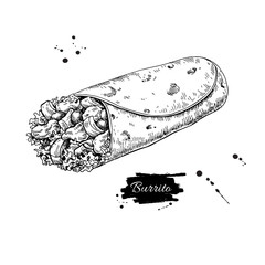 Burrito drawing. Traditional mexican food vector illustration