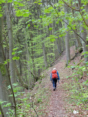 Wandern zwischen Wannbach und Ühleinshof