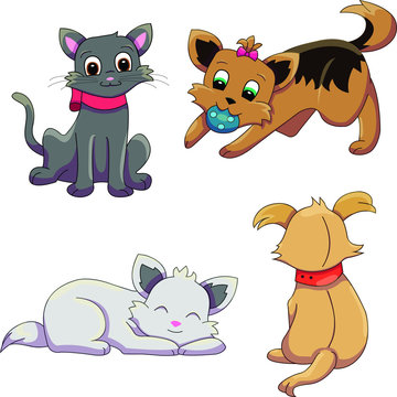 Various isolated cat and dog positions. Pet vector illustration collection.