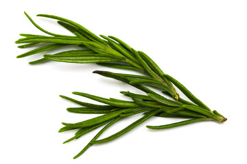 Fototapeta premium Rosemary isolated on white background, Top view