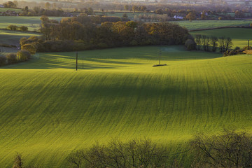 Sunlight Over Fields
