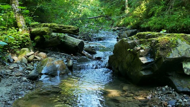 4K.Mountain Stream  with  stone and moss. Landscape 