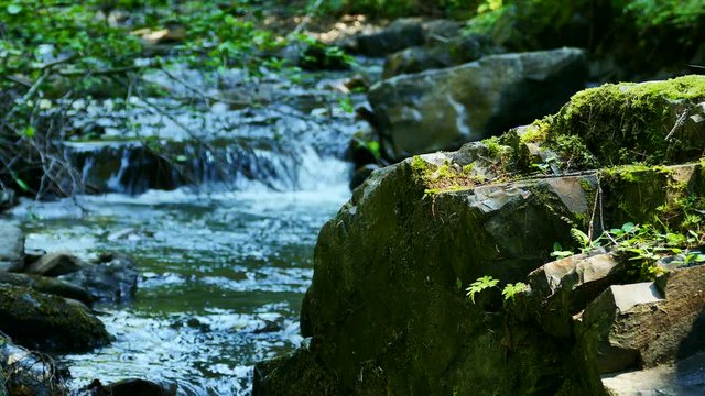 4K. Stone, green moss and stream. Landscape 