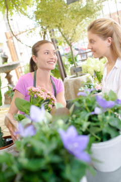 florist with customer
