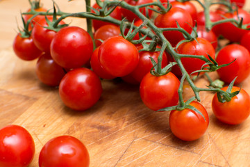 Fresh and ripe vine tomatoes, tomato on the vine