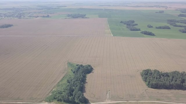 красивые рапсовые поля под синим небом / пролеты в солнечном небе над рапсовыми полями