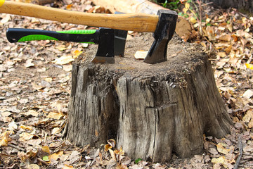 Three different sized axes being stored on a chopping stump