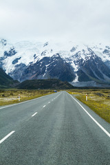 Fototapeta premium lupins lake tekapo new zealan