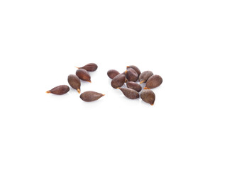 Vigna mungo on white background.