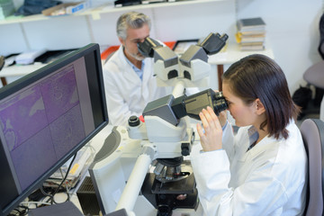 Laboratory workers looking into microscope