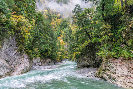 beautiful view of blue water river and rocky cliff mountain with colorful yellow tree in early morning autumn, Kurobe onzen central Japan