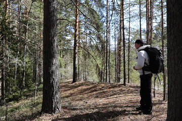 Fototapeta premium A man is a tourist in a pine forest with a backpack. A hiking tr