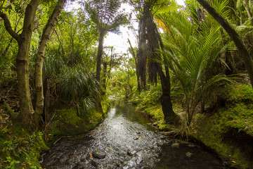 Obraz premium kare kare falls new zealand