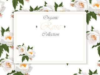 roses and butterflies