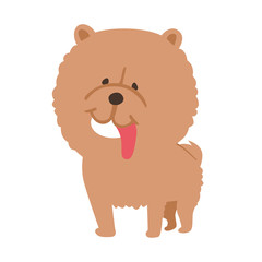 dog,chow chow,illustration