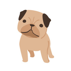 dog,pug,illustration