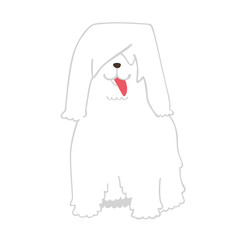 dog,komondor,illustration