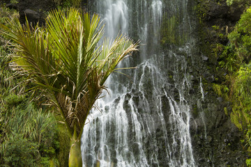 kare kare falls new zealand
