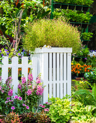 Beautiful flower garden. /White picket fence surrounded by flowers in front of cozy home garden on summer.

