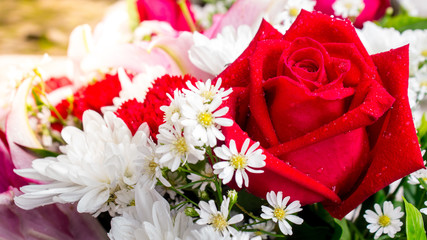 Red rose and flower in bouquet./ Red rose and flower in bouquet on Valentine day.