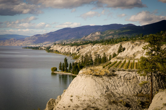 landscape view of the Naramata Bench - vineyards, lake, mountains
