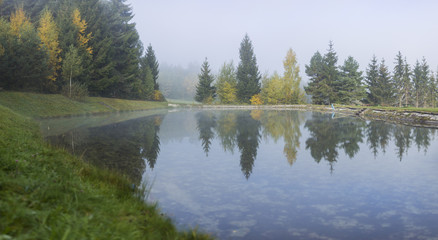 Fototapeta na wymiar trees pond fogg