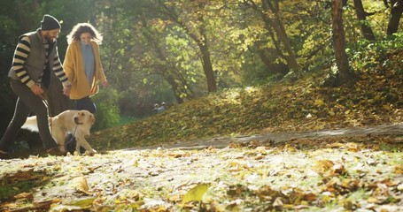 Young happy couple strolling through the autumn park with a cute dog on the leash and holding hand in hand. Sunny day. Great mood. Outdoors - Powered by Adobe