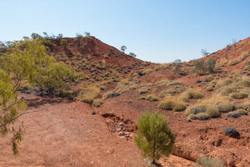 Arid landscape, erosion and spinifex grass at Lark Quarry