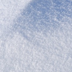 Snow background. Winter nature texture.