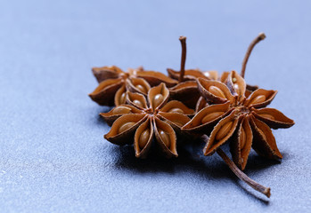 Stars anise spice, macro shot © Olga Kriger
