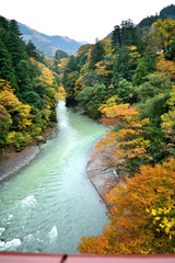 【東京都西多摩郡】秋の奥多摩 氷川渓谷紅葉