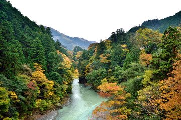 秋の奥多摩 氷川渓谷と山並み