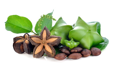 Sacha Inchi on white background, fresh capsule seeds fruit of sacha-Inchi peanut
