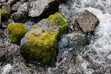 Close up stone with moss and natural water at Fukidashi Park in Hokkaido, Japan.