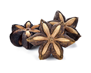 Sacha Inchi on white background, capsule seeds fruit of sacha-Inchi peanut