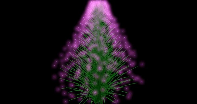 Vibrant 3d particles forming into a glowing purple, violet, indigo , green pine / Christmas tree
