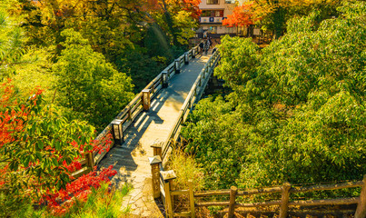 Autumn Scene at Saruhashi Bridge, Otsuki – View of Fall Foliage and Historic Bridge